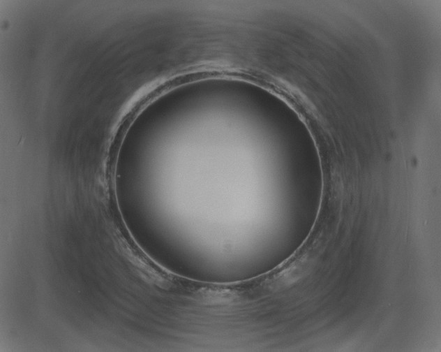 X0000081481168200701121437