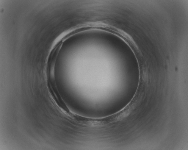 X0000081481176200701121437