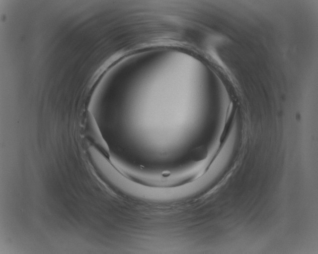 X0000081481177200701121437