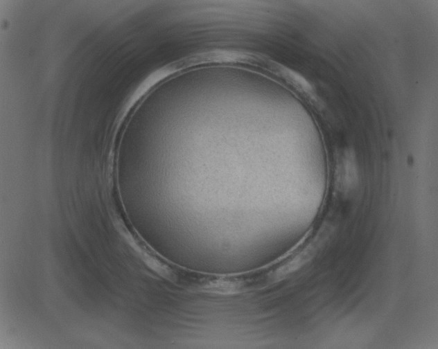 X0000081481178200701121437