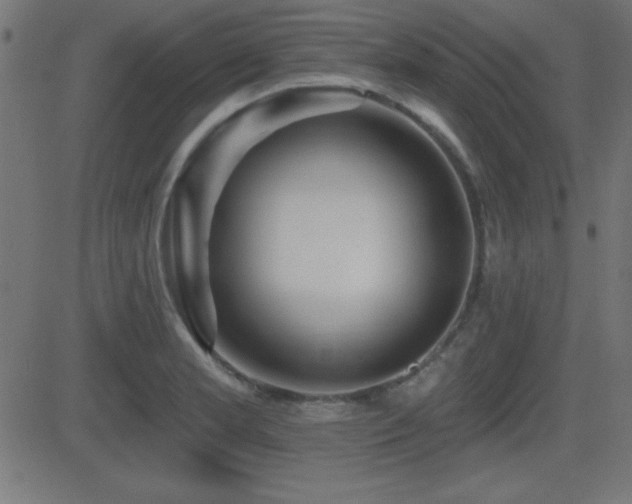 X0000081481181200701121437