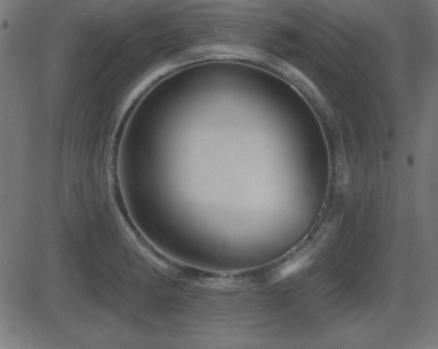 X0000081481182200701121437
