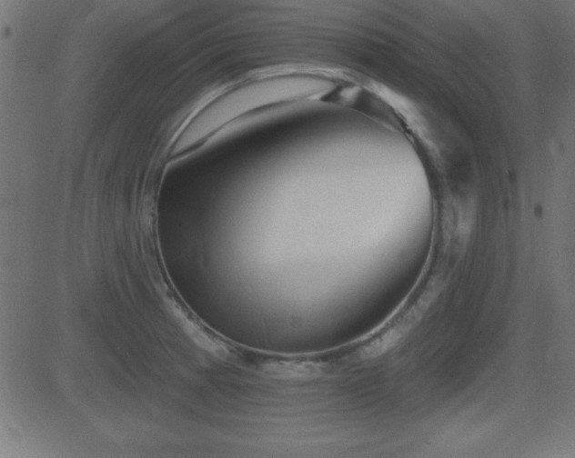 X0000081481185200701121437