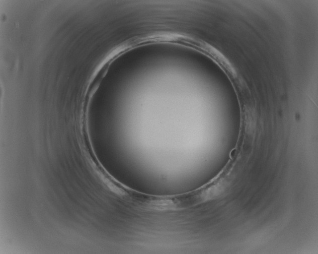 X0000081481186200701121437