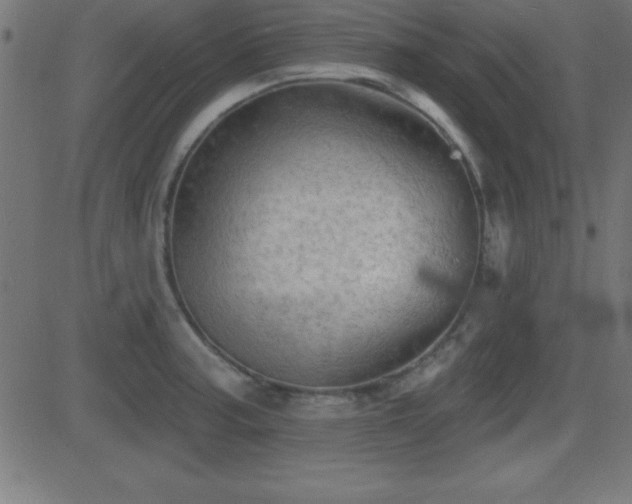 X0000081481187200701121437