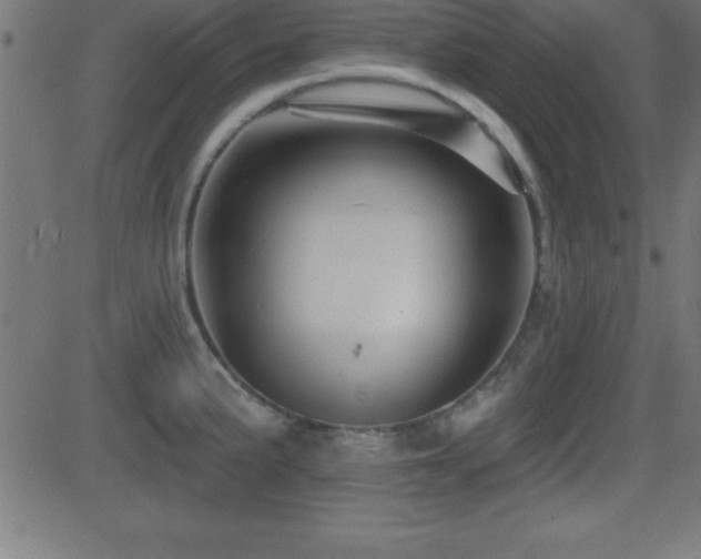 X0000081481191200701121437