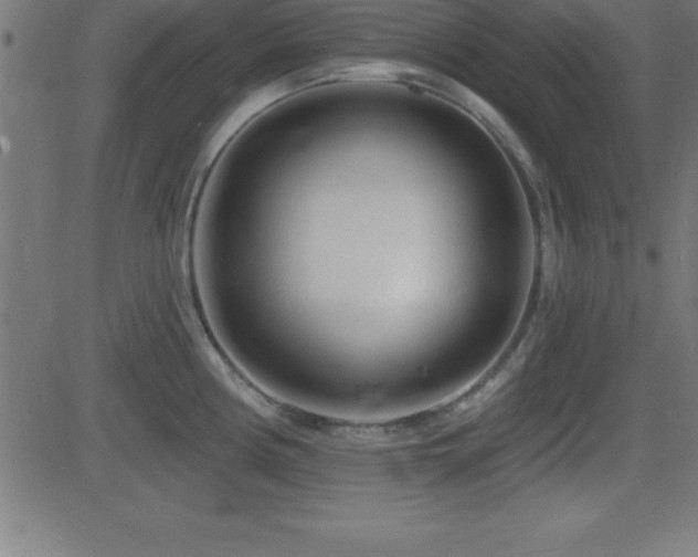 X0000081481194200701121437