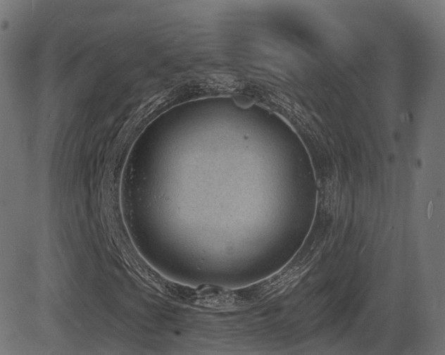 X0000081481201200701121436