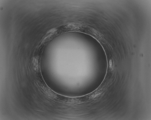 X0000081481203200701121436