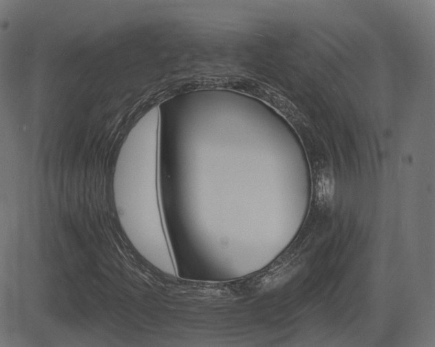 X0000081481204200701121436