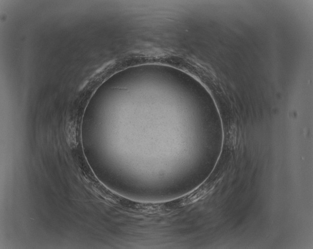 X0000081481205200701121436