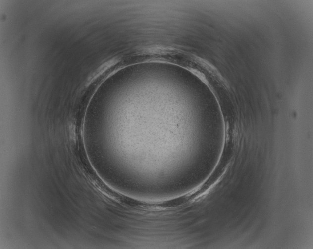X0000081481209200701121436