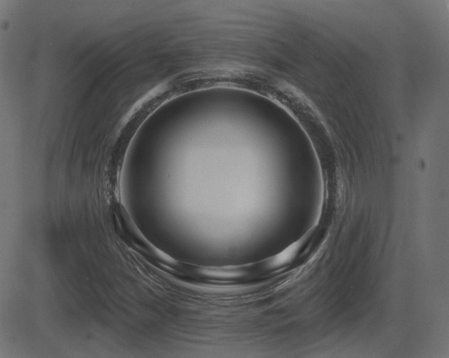X0000081481210200701121436