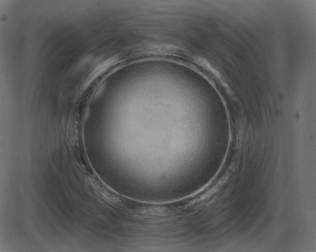 X0000081481211200701121436