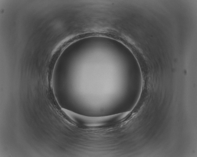 X0000081481214200701121436