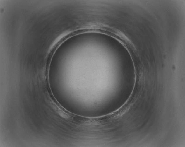 X0000081481216200701121436