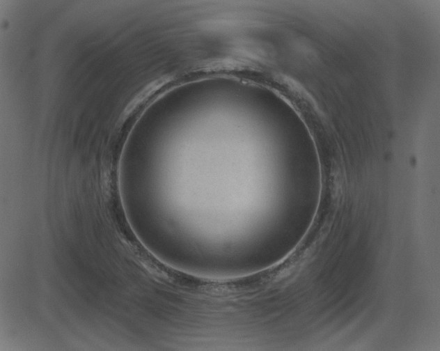 X0000081481217200701121436