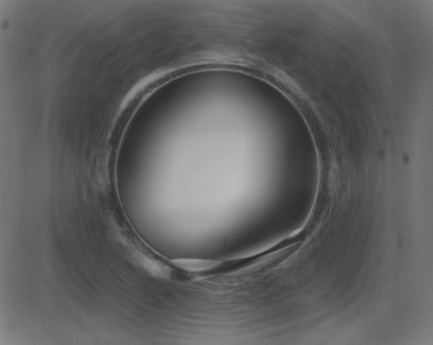 X0000081481222200701121436