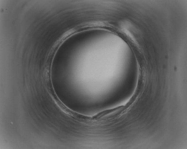 X0000081481225200701121436