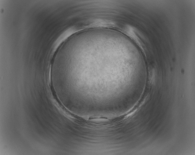 X0000081481227200701121436