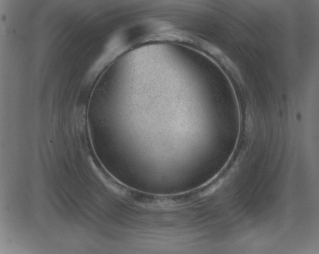 X0000081481233200701121436