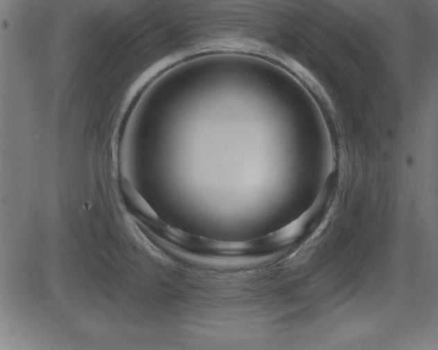X0000081481238200701121436