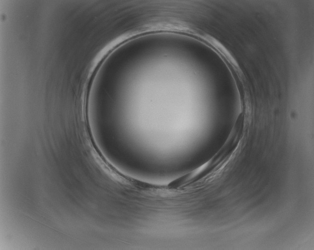 X0000081481246200701121437