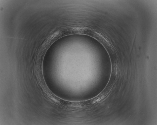 X0000081481249200701121436