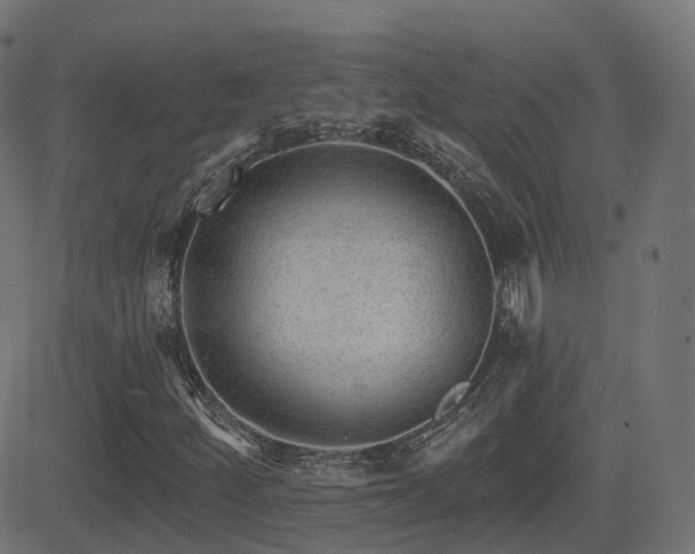 X0000081481252200701121436