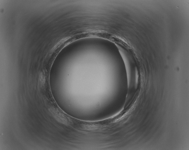 X0000081481257200701121436