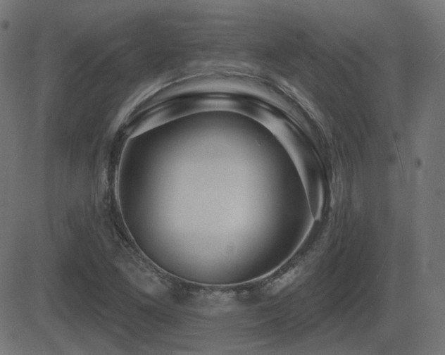 X0000081481261200701121436