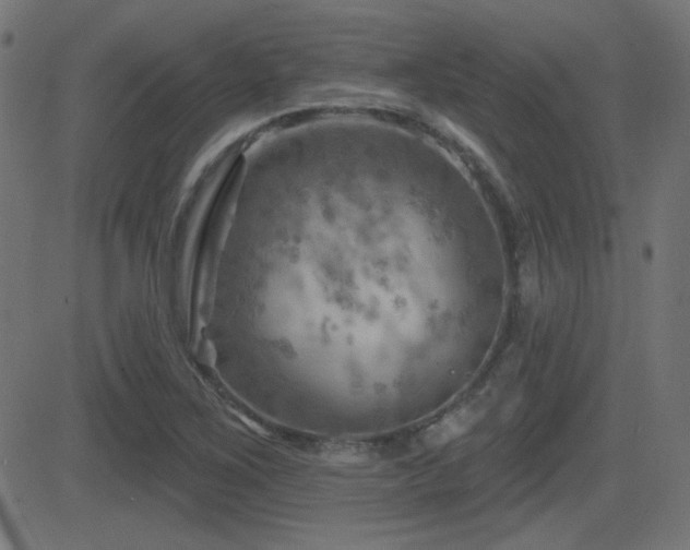 X0000081481267200701121435
