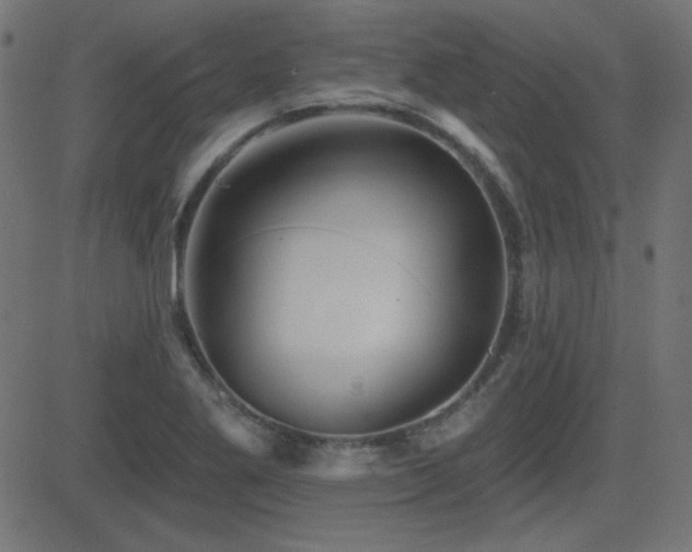 X0000081481269200701121435