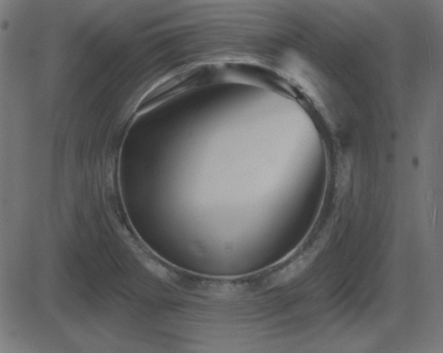 X0000081481273200701121435