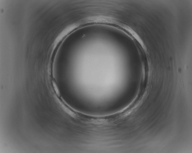X0000081481285200701121435