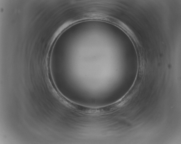 X0000081481291200701121435
