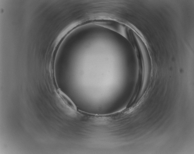 X0000081481293200701121435