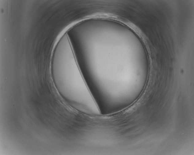 X0000081481296200701121435