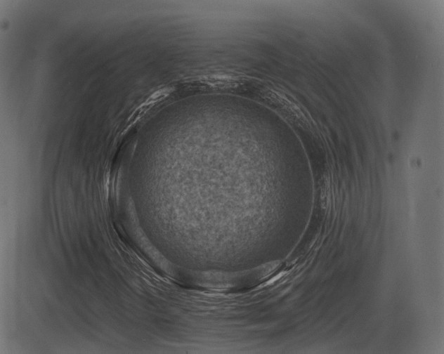 X0000081481298200701121434