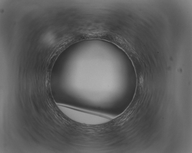 X0000081481300200701121434