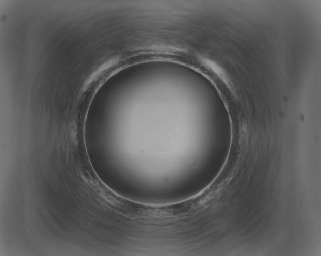 X0000081481307200701121434