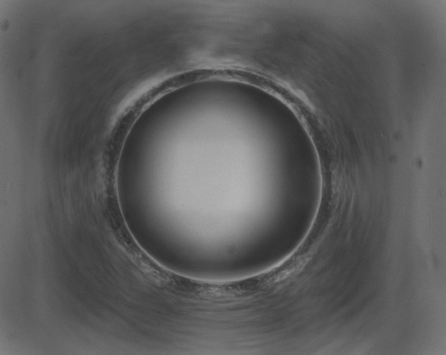 X0000081481311200701121434
