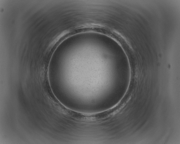 X0000081481313200701121434