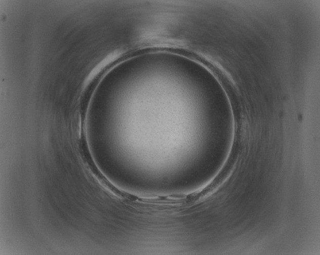 X0000081481317200701121435