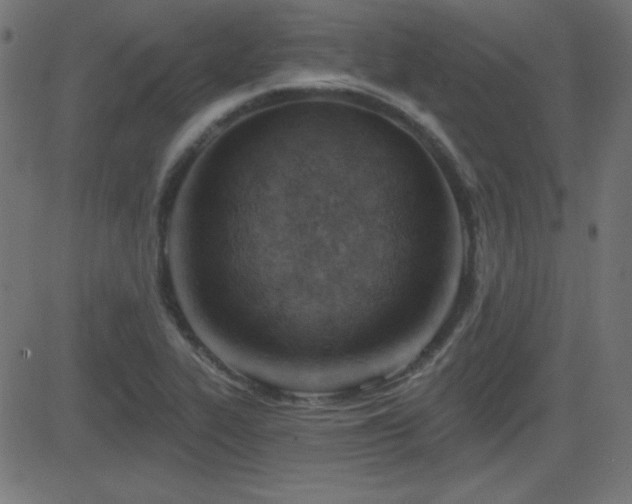 X0000081481319200701121435