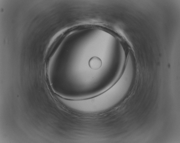 X0000081481320200701121435