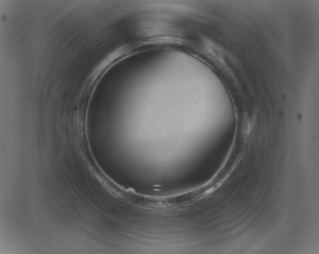 X0000081481321200701121435