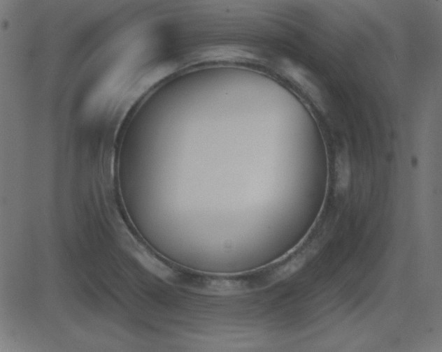 X0000081481322200701121435