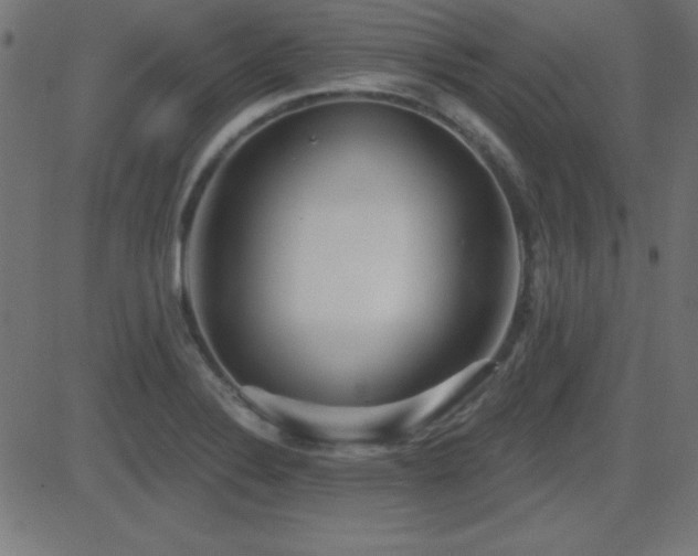 X0000081481324200701121435