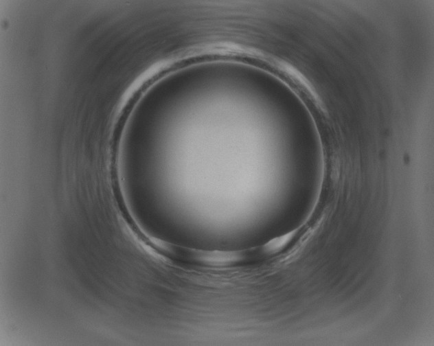 X0000081481326200701121435